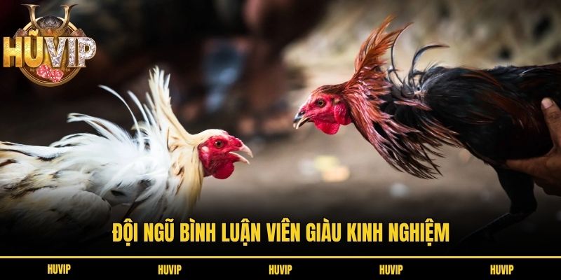 Đội ngũ bình luận viên giàu kinh nghiệm