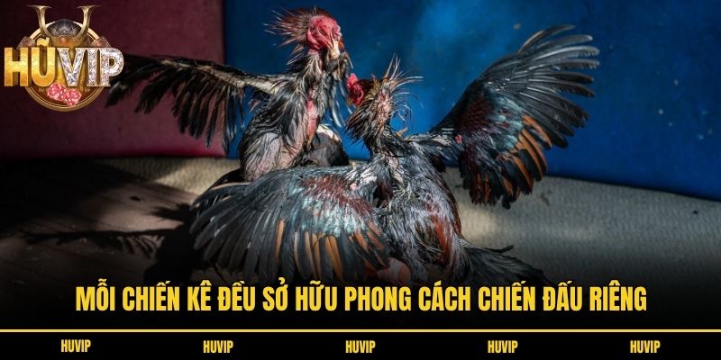Mỗi chiến kê đều sở hữu phong cách chiến đấu riêng