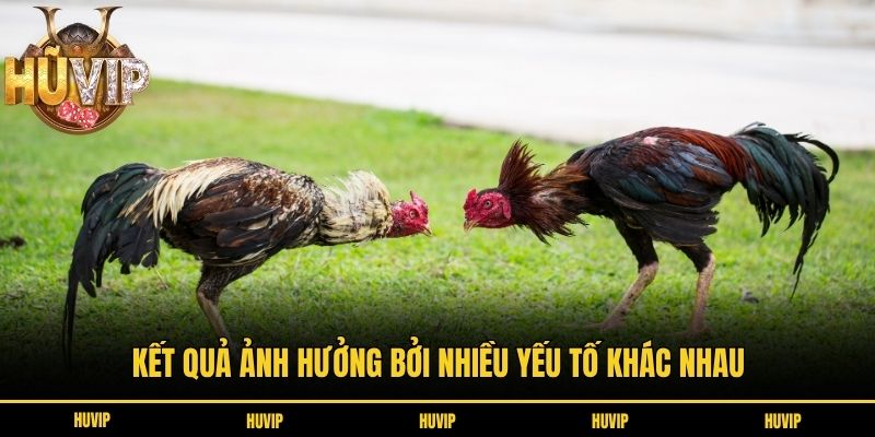 Kết quả ảnh hưởng bởi nhiều yếu tố khác nhau