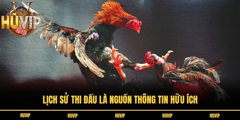 Lịch sử thi đấu là nguồn thông tin hữu ích
