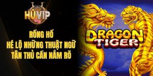 Rồng Hổ - Hé Lộ Những Thuật Ngữ Tân Thủ Cần Nắm Rõ